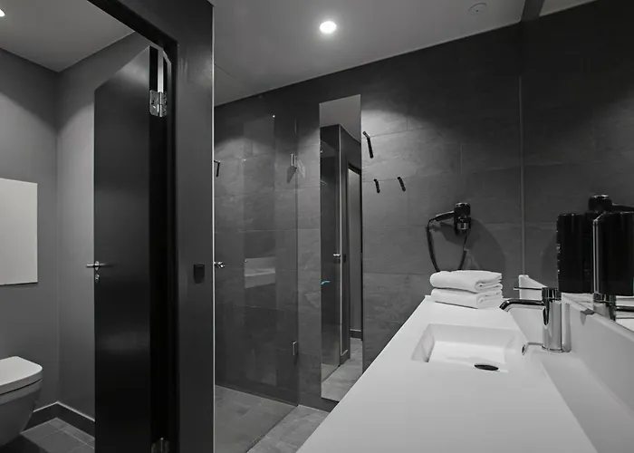 Four Points Flex By Sheraton 3* Хиллерёд